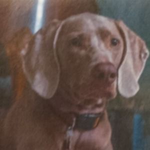 Meet your Posher, Valerie